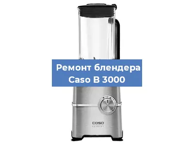 Замена щеток на блендере Caso B 3000 в Ижевске